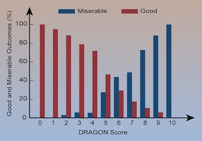 DRAGON score21